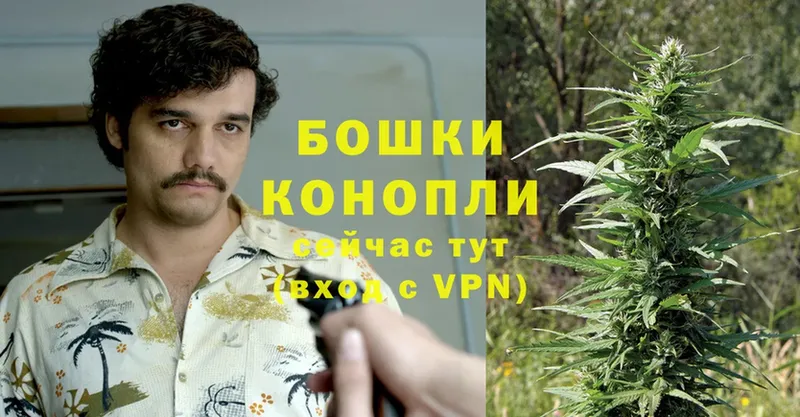 закладка  Осташков  Канабис SATIVA & INDICA 